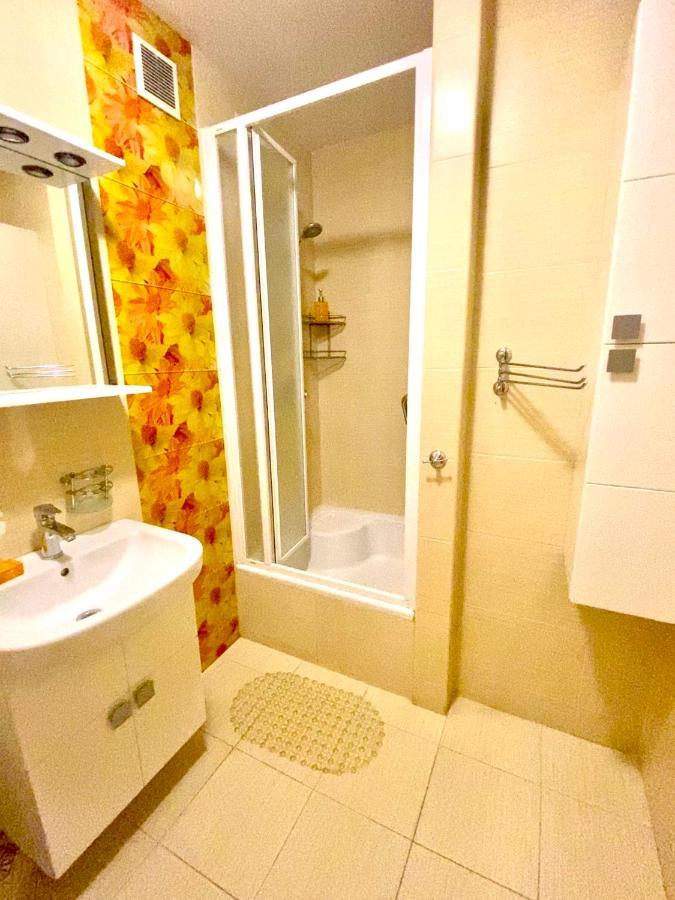 Cozy Apartment Vinnytsia